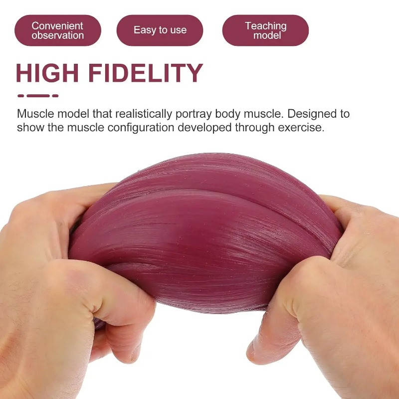 1-pound Human Muscle and Fat R - Nutrition Fitness recension och pris